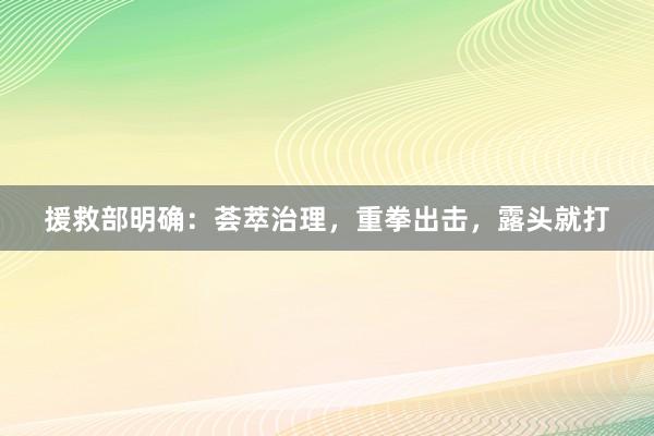 援救部明确：荟萃治理，重拳出击，露头就打