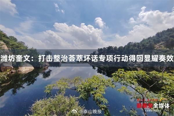 潍坊奎文：打击整治荟萃坏话专项行动得回显耀奏效