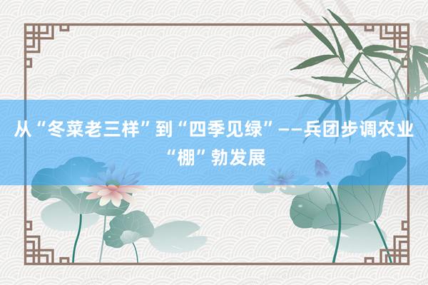 从“冬菜老三样”到“四季见绿”——兵团步调农业“棚”勃发展